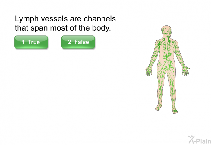 Lymph vessels are channels that span most of the body. Select True or False.