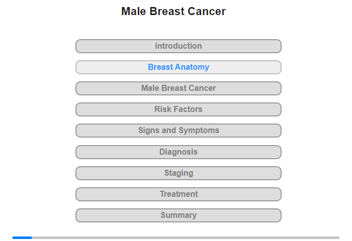 Breast Anatomy