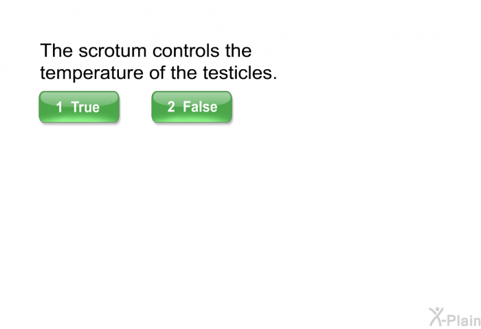 The scrotum controls the temperature of the testicles. Select True or False.