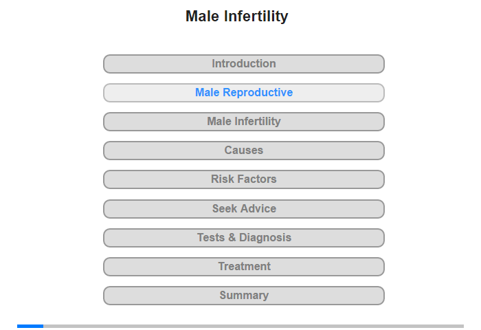 The Male Reproductive System