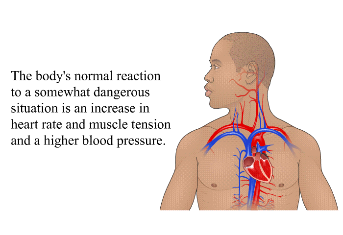 The body's normal reaction to a somewhat dangerous situation is an increase in heart rate and muscle tension and a higher blood pressure.