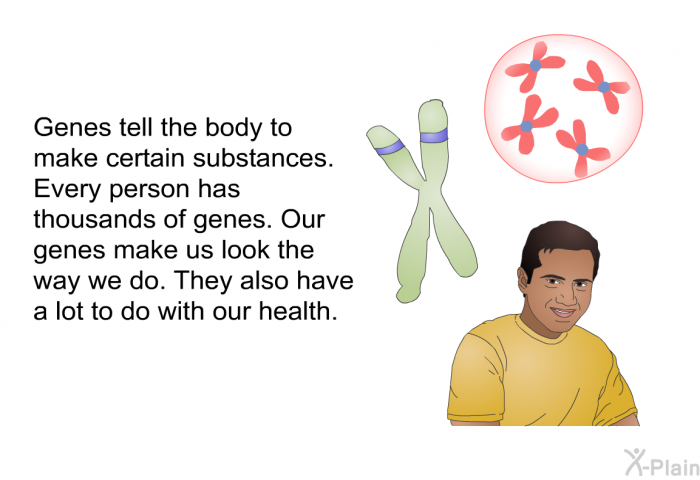 Genes tell the body to make certain substances. Every person has thousands of genes. Our genes make us look the way we do. They also have a lot to do with our health.