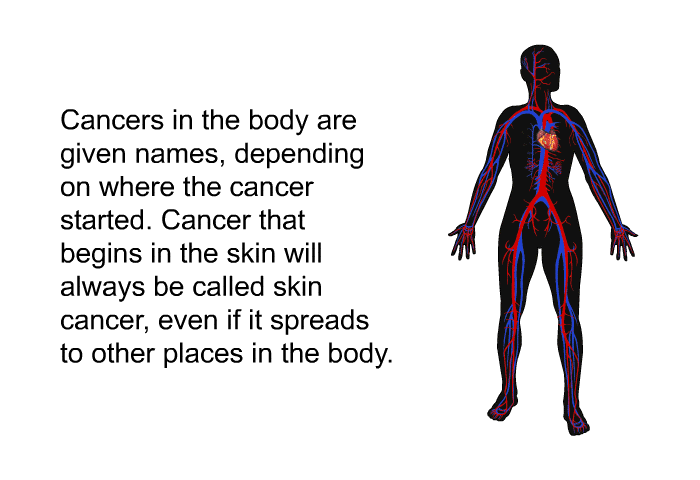 Cancers in the body are given names, depending on where the cancer started. Cancer that begins in the skin will always be called skin cancer, even if it spreads to other places in the body.