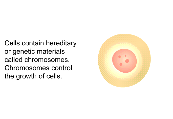 Cells contain hereditary or genetic materials called chromosomes. Chromosomes control the growth of cells.