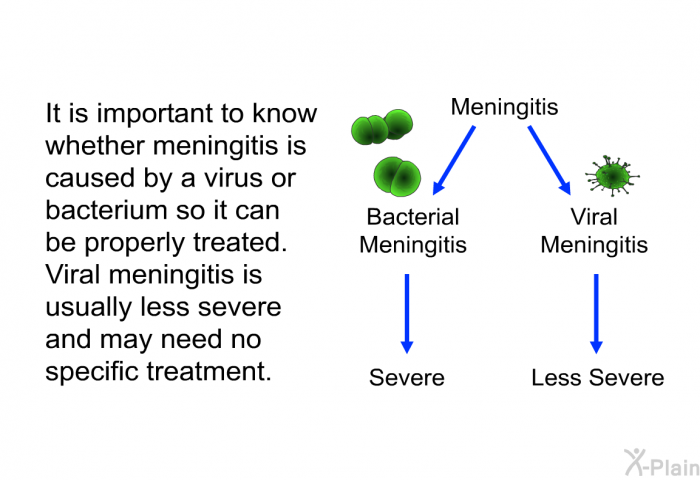 It is important to know whether meningitis is caused by a virus or bacterium so it can be properly treated. Viral meningitis is usually less severe and may need no specific treatment.
