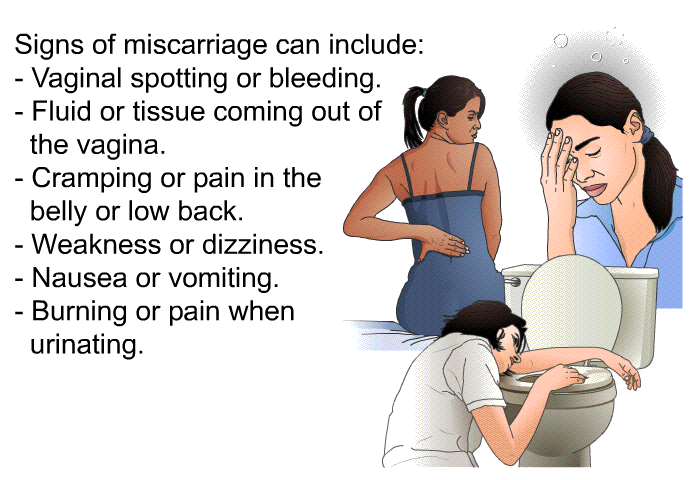Signs of miscarriage can include:  Vaginal spotting or bleeding. Fluid or tissue coming out of the vagina. Cramping or pain in the belly or low back. Weakness or dizziness. Nausea or vomiting. Burning or pain when urinating.