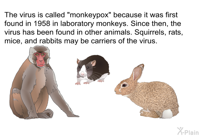 The virus is called "monkeypox" because it was first found in 1958 in laboratory monkeys. Since then, the virus has been found in other animals. Squirrels, rats, mice, and rabbits may be carriers of the virus.