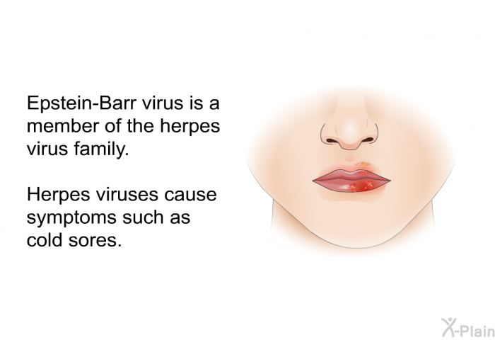 Epstein-Barr virus is a member of the herpes virus family. Herpes viruses cause symptoms such as cold sores.