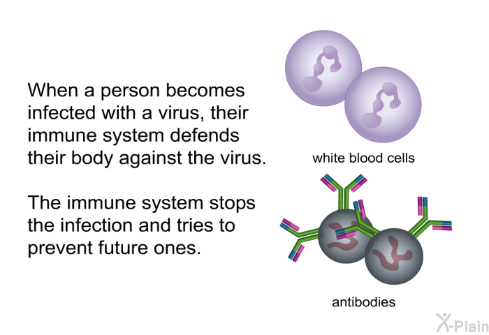 When a person becomes infected with a virus, their immune system defends their body against the virus. The immune system stops the infection and tries to prevent future ones.