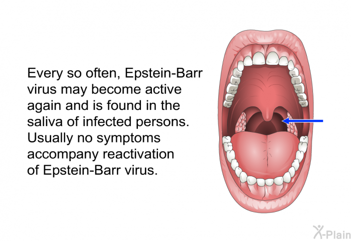 Every so often, Epstein-Barr virus may become active again and is found in the saliva of infected persons. Usually no symptoms accompany reactivation of Epstein-Barr virus.