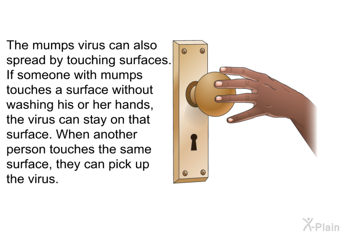The mumps virus can also spread by touching surfaces. If someone with mumps touches a surface without washing his or her hands, the virus can stay on that surface. When another person touches the same surface, they can pick up the virus.