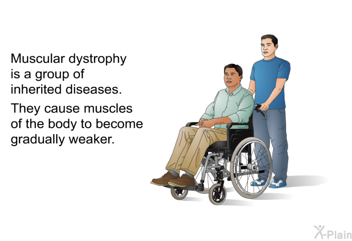 Muscular dystrophy is a group of inherited diseases. They cause muscles of the body to become gradually weaker.