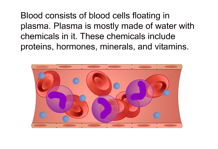 Blood consists of blood cells floating in plasma. Plasma is mostly made of water with chemicals in it. These chemicals include proteins, hormones, minerals, and vitamins.