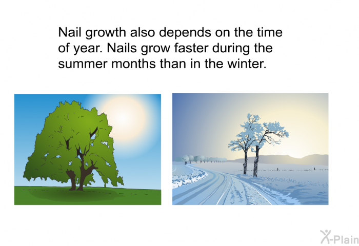 Nail growth also depends on the time of year. Nails grow faster during the summer months than in the winter.