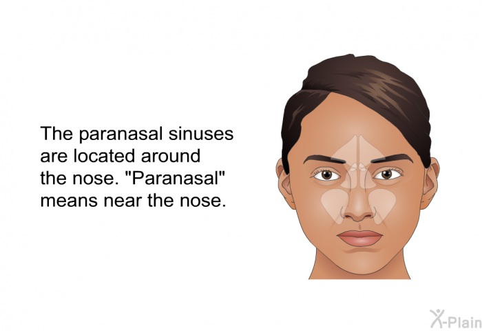 The paranasal sinuses are located around the nose. "Paranasal" means near the nose.