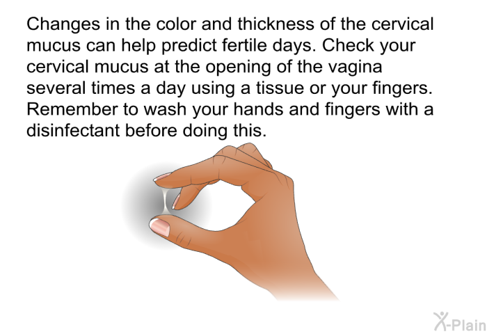 Changes in the color and thickness of the cervical mucus can help predict fertile days. Check your cervical mucus at the opening of the vagina several times a day using a tissue or your fingers. Remember to wash your hands and fingers with a disinfectant before doing this.