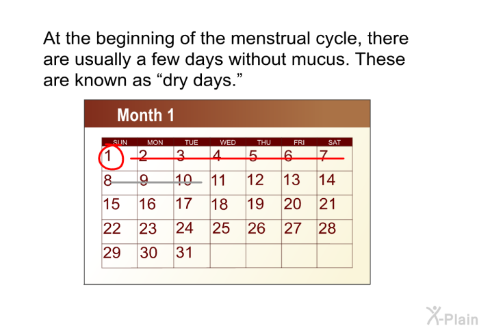 At the beginning of the menstrual cycle, there are usually a few days without mucus. These are known as “dry days.”