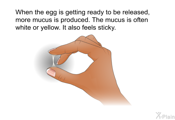 When the egg is getting ready to be released, more mucus is produced. The mucus is often white or yellow. It also feels sticky.