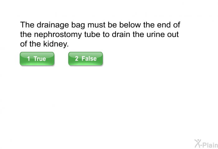 The drainage bag must be below the end of the nephrostomy tube to drain the urine out of the kidney.