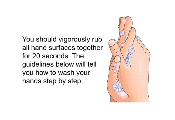 You should vigorously rub all hand surfaces together for 20 seconds. The guidelines below will tell you how to wash your hands step by step.