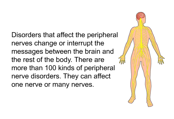 Disorders that affect the peripheral nerves change or interrupt the messages between the brain and the rest of the body. There are more than 100 kinds of peripheral nerve disorders. They can affect one nerve or many nerves.