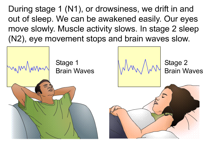 During stage 1 (N1), or drowsiness, we drift in and out of sleep. We can be awakened easily. Our eyes move slowly. Muscle activity slows. In stage 2 sleep (N2), eye movement stops and brain waves slow.