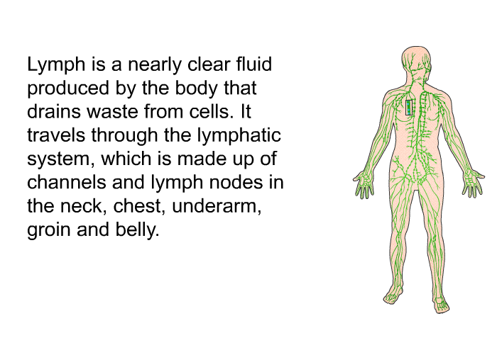 Lymph is a nearly clear fluid produced by the body that drains waste from cells. It travels through the lymphatic system, which is made up of channels and lymph nodes in the neck, chest, underarm, groin and belly.