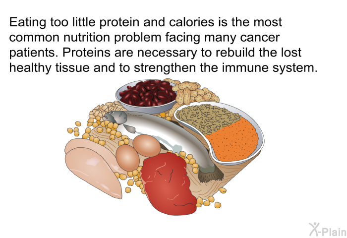 Eating too little protein and calories is the most common nutrition problem facing many cancer patients. Proteins are necessary to rebuild the lost healthy tissue and to strengthen the immune system.