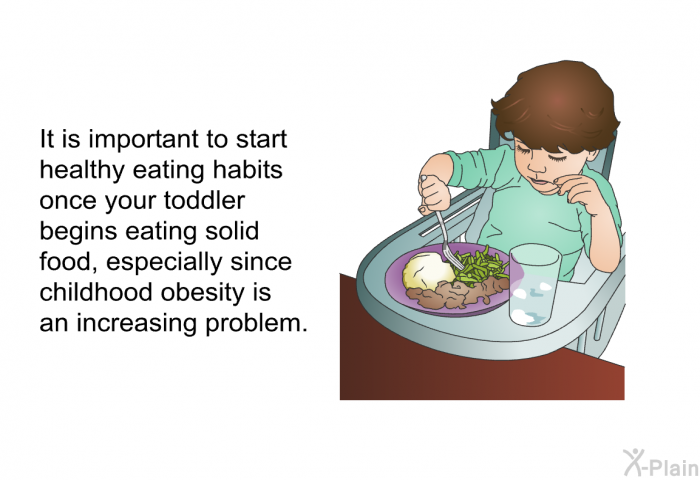 It is important to start healthy eating habits once your toddler begins eating solid food, especially since childhood obesity is an increasing problem.