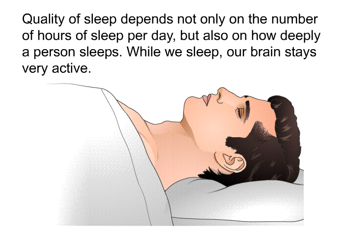 Quality of sleep depends not only on the number of hours of sleep per day, but also on how deeply a person sleeps. While we sleep, our brain stays very active.