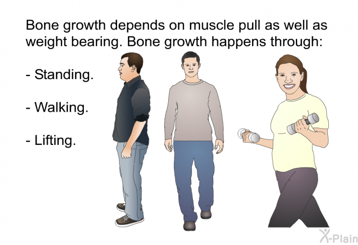 Bone growth depends on muscle pull as well as weight bearing. Bone growth happens through:  Standing. Walking. Lifting.