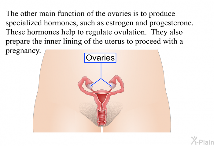 The other main function of the ovaries is to produce specialized hormones, such as estrogen and progesterone. These hormones help to regulate ovulation. They also prepare the inner lining of the uterus to proceed with a pregnancy.