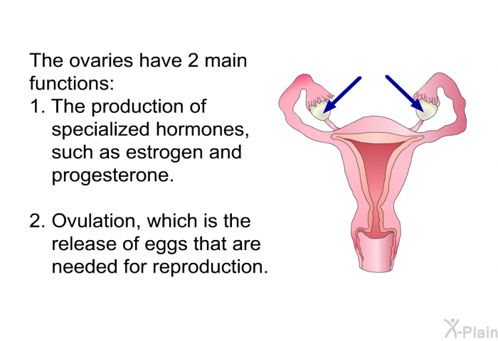 The ovaries have 2 main functions:   The production of specialized hormones, such as estrogen and progesterone. Ovulation, which is the release of eggs that are needed for reproduction.