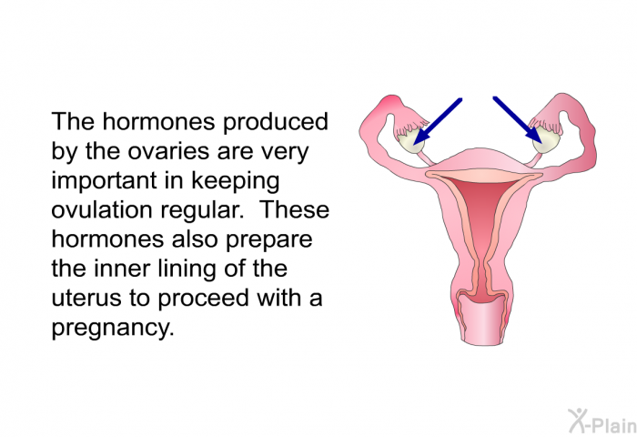 The hormones produced by the ovaries are very important in keeping ovulation regular. These hormones also prepare the inner lining of the uterus to proceed with a pregnancy.