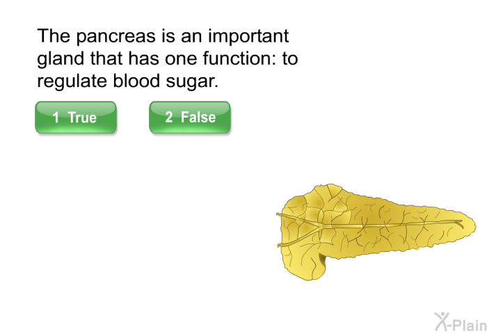 The pancreas is an important gland that has one function: to regulate blood sugar.