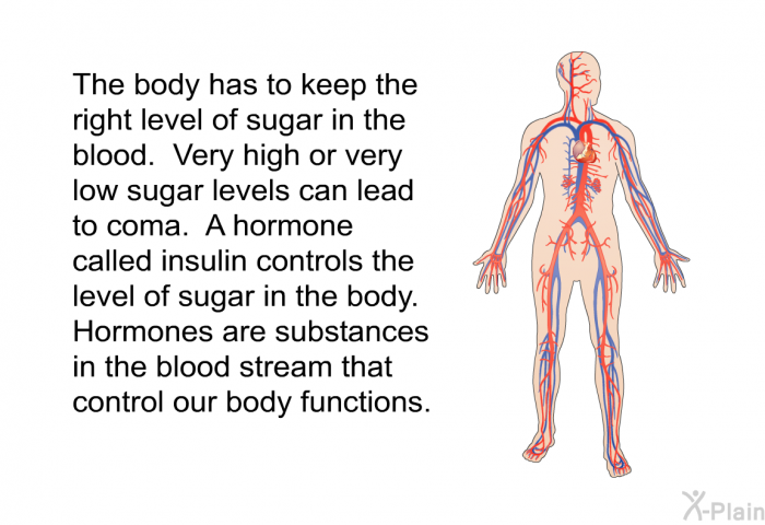 The body has to keep the right level of sugar in the blood. Very high or very low sugar levels can lead to coma. A hormone called insulin controls the level of sugar in the body. Hormones are substances in the blood stream that control our body functions.