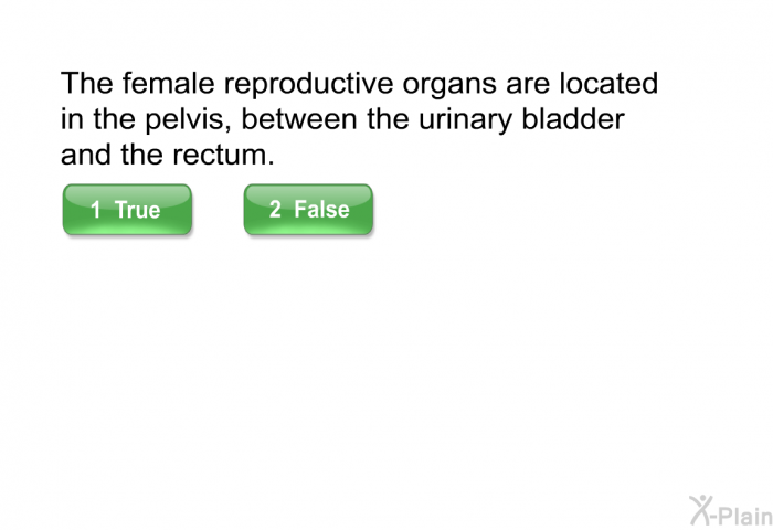 The female reproductive organs are located in the pelvis, between the urinary bladder and the rectum.