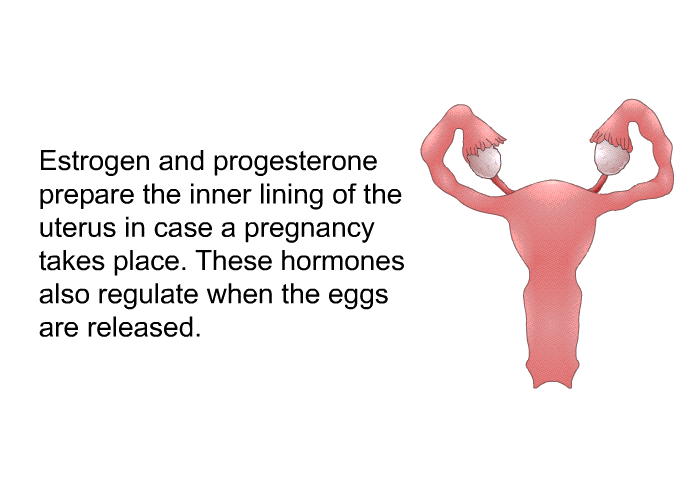 Estrogen and progesterone prepare the inner lining of the uterus in case a pregnancy takes place. These hormones also regulate when the eggs are released.