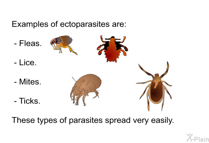 Examples of ectoparasites are:  Fleas. Lice. Mites. Ticks. 
 These types of parasites spread very easily.