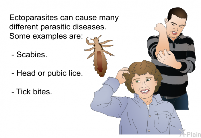 Ectoparasites can cause many different parasitic diseases. Some examples are:  Scabies. Head or pubic lice. Tick bites.