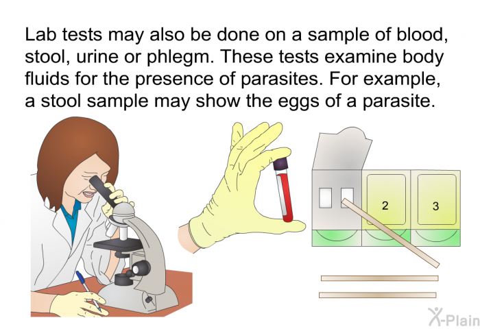 Lab tests may also be done on a sample of blood, stool, urine or phlegm. These tests examine body fluids for the presence of parasites. For example, a stool sample may show the eggs of a parasite.