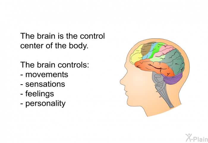 The brain is the control center of the body. The brain controls  movements sensations feelings personality