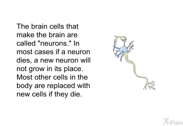 The brain cells that make the brain are called “neurons.” In most cases if a neuron dies, a new neuron will not grow in its place. Most other cells in the body are replaced with new cells if they die.