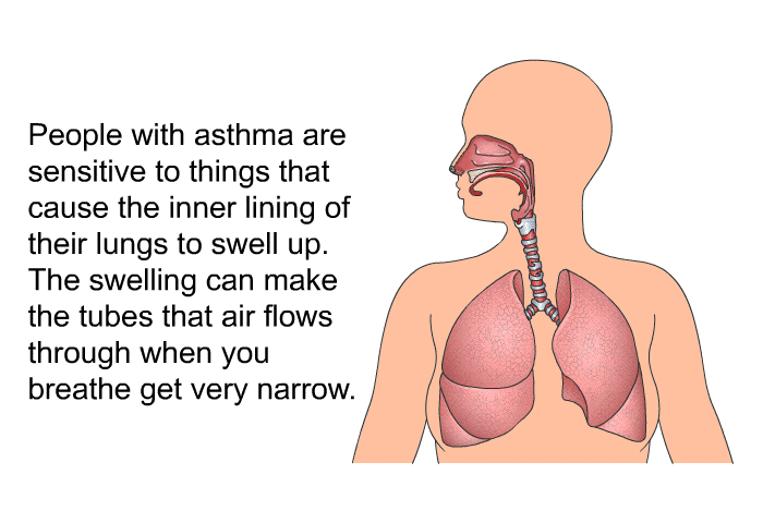 People with asthma are sensitive to things that cause the inner lining of their lungs to swell up. The swelling can make the tubes that air flows through when you breathe get very narrow.