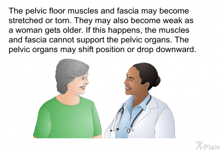 The pelvic floor muscles and fascia may become stretched or torn. They may also become weak as a woman gets older. If this happens, the muscles and fascia cannot support the pelvic organs. The pelvic organs may shift position or drop downward.