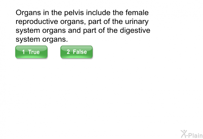 Organs in the pelvis include the female reproductive organs, part of the urinary system organs and part of the digestive system organs.