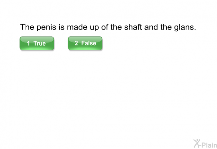 The penis is made up of the shaft and the glans.