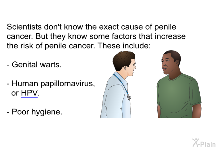 Scientists don't know the exact cause of penile cancer. But they know some factors that increase the risk of penile cancer. These include:  Genital warts. Human papillomavirus, or HPV. Poor hygiene.