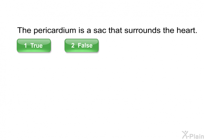 The pericardium is a sac that surrounds the heart.