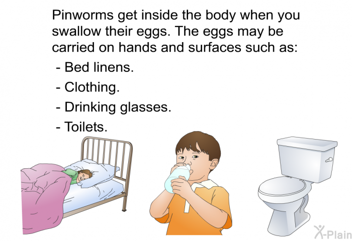 Pinworms get inside the body when you swallow their eggs. The eggs may be carried on hands and surfaces such as:  Bed linens. Clothing. Drinking glasses. Toilets.